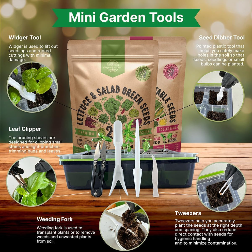 22 Lettuce & Salad Greens & 40 Vegetable Seeds Variety Pack Bundle, 50,700+ Non-GMO Heirloom Seeds for Planting Vegetables, Lettuce, and Salad Greens for Indoor & Outdoor Gardening