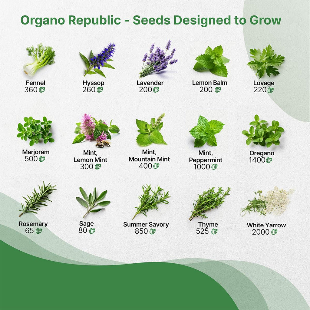 35 Medicinal & Tea Herb Seeds Variety Pack for Indoor & Outdoors. 16,335+ Non-GMO Heirloom Garden Seeds: Anise, Bergamot, Borage, Cilantro, Chamomile, Dandelion, Rosemary Seeds & More