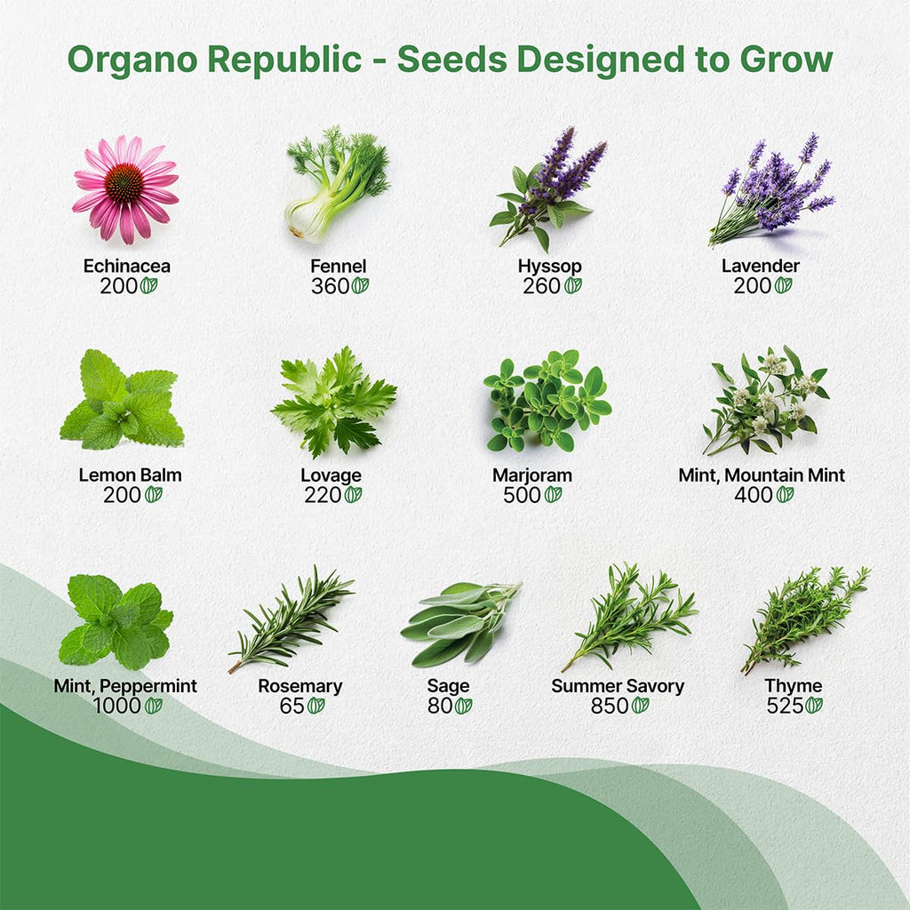 35 Medicinal & Tea Herb Seeds Variety Pack for Indoor & Outdoors. 16,335+ Non-GMO Heirloom Garden Seeds: Anise, Bergamot, Borage, Cilantro, Chamomile, Dandelion, Rosemary Seeds & More