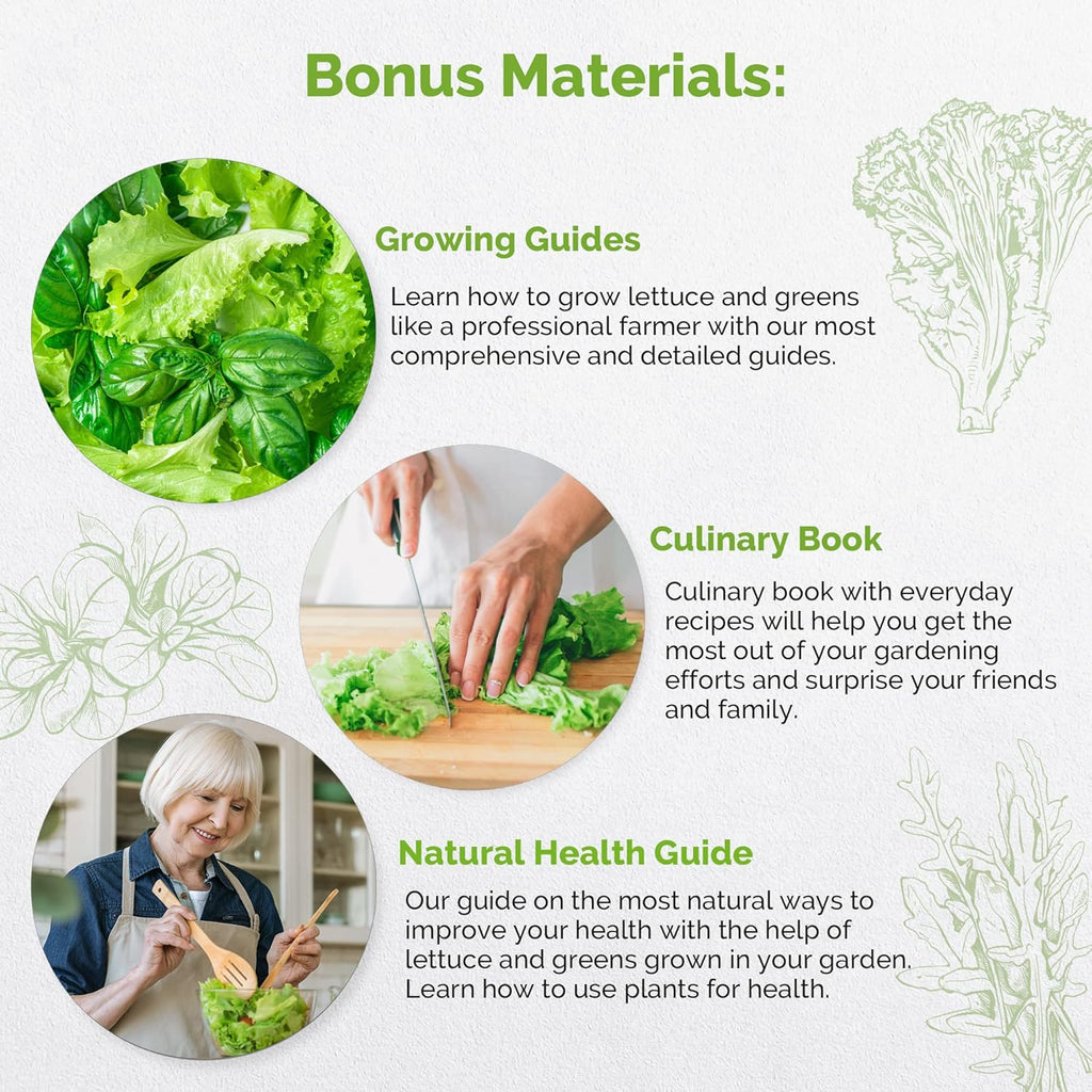Organo Republic 10 Lettuce & Salad Greens Seeds Variety Pack 4800+ Non-GMO Heirloom Lettuce Seeds for Planting Indoors & Outdoors Garden, Hydroponics - Arugula, Radicchio, Kale, Spinach, Swiss Chard