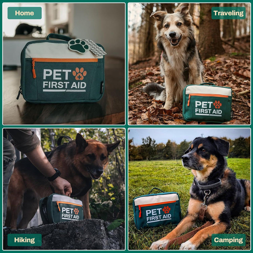 RHINO RESCUE bundle-Pet First Aid Kit, Emergency Medical Supplies for Dogs & Cats, Safety Essentials Pack with Thermometer+