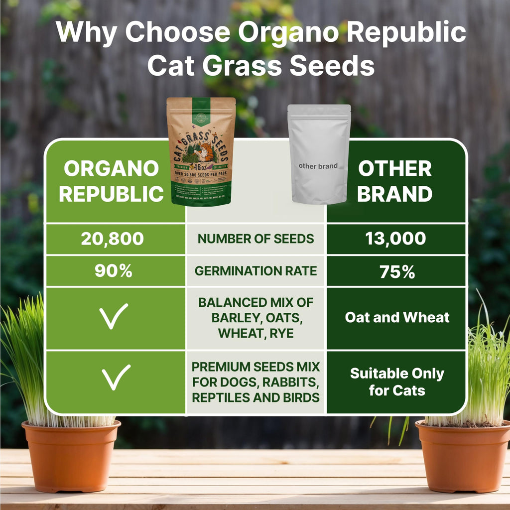 Organo Republic Cat Grass Seeds Mix - 20,800 Non-GMO Heirloom Seeds for Cats & Pets, 16 oz Pack for Growing Fresh Barley, Oat, Rye & Wheat Grass Seeds for Planting, Indoor Plants, Hairball Remedy