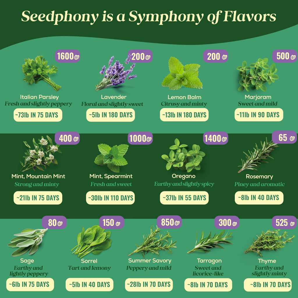35 Medicinal & Tea Herb Seeds Variety Pack - 16,285+ Non-GMO Heirloom Herbs Seeds for Planting Indoor & Outdoor: Lavender, Rosemary, Echinacea, Mint, Catnip, Basil - Gardening Seed Packets
