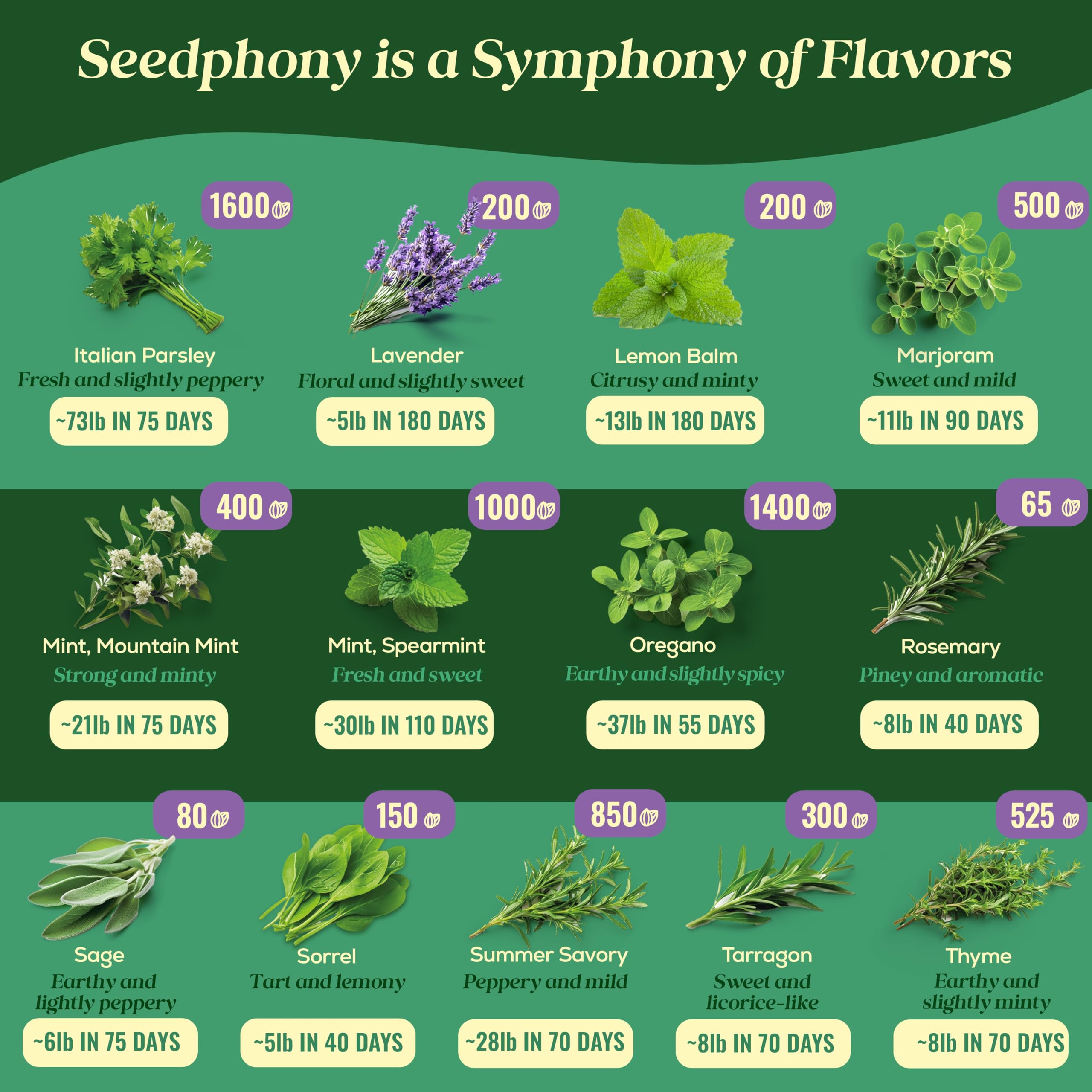 35 Medicinal & Tea Herb Seeds Variety Pack - 16,285+ Non-GMO Heirloom Herbs Seeds for Planting Indoor & Outdoor: Lavender, Rosemary, Echinacea, Mint, Catnip, Basil - Gardening Seed Packets
