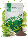 Broccoli Sprouting & Microgreens Seeds - 130,000 Non-GMO Heirloom Seed, 1lb Resealable Bag - High-Germination Broccoli Seeds for Sprouting in Jars, Soil, Hydroponics & Microgreen Trays