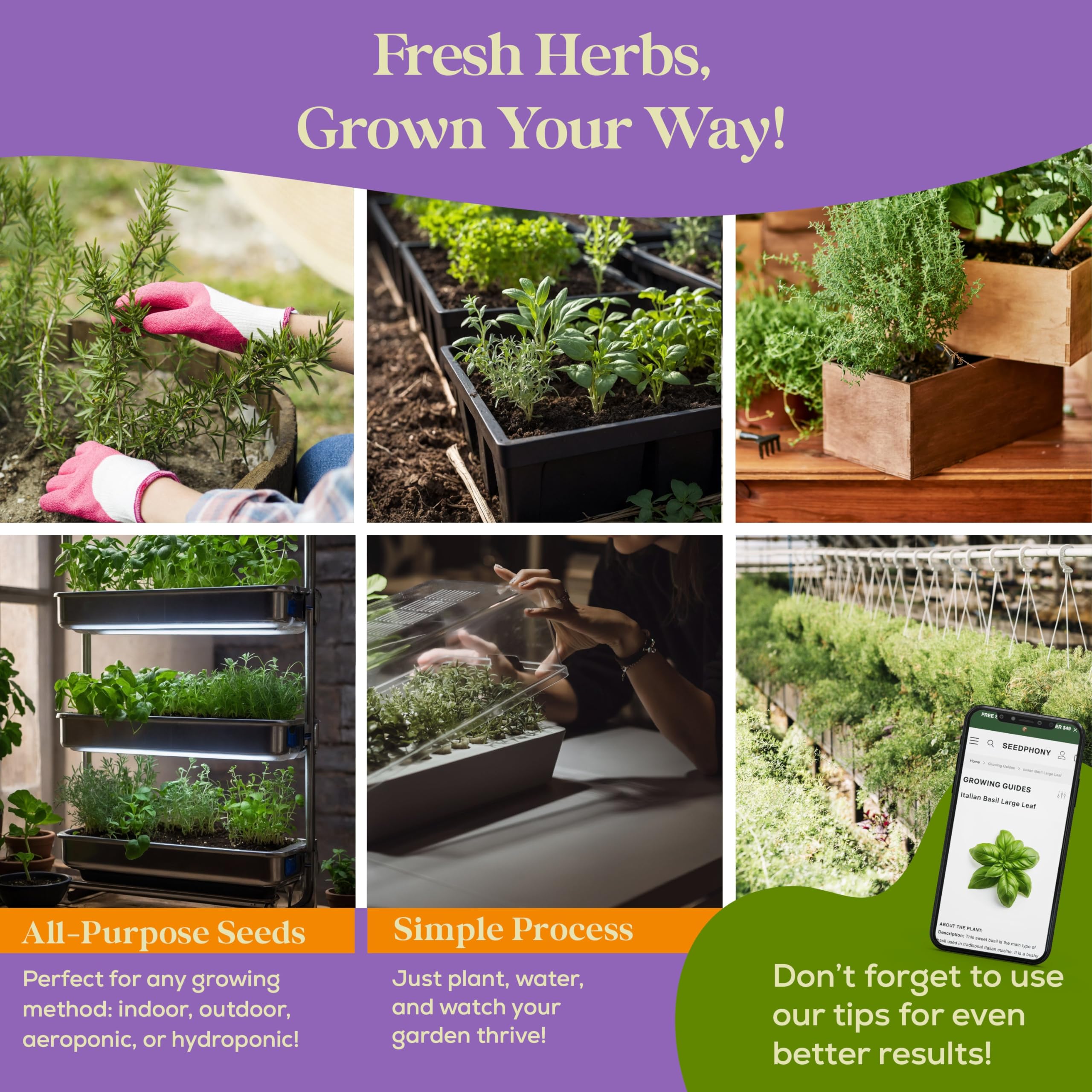 35 Medicinal & Tea Herb Seeds Variety Pack - 16,285+ Non-GMO Heirloom Herbs Seeds for Planting Indoor & Outdoor: Lavender, Rosemary, Echinacea, Mint, Catnip, Basil - Gardening Seed Packets