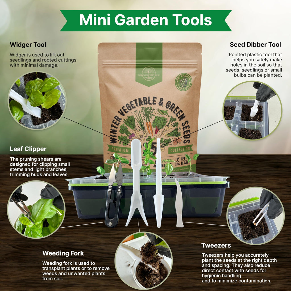 Organo Republic 25 Winter Vegetable & Green Seeds Variety Pack for Outdoors & Indoor Home Gardening 27670+ Non-GMO Heirloom Seeds: Broccoli Beet Carrot Collard Lettuce Radish Spinach Pea Kohlrabi