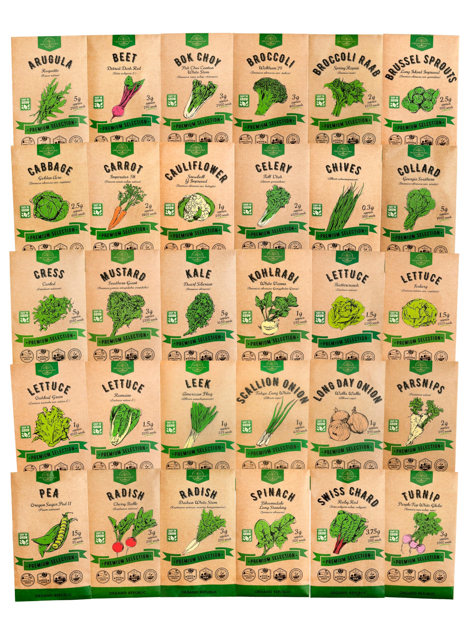 Organo Republic 25 Winter Vegetable & Green Seeds Variety Pack for Outdoors & Indoor Home Gardening 27670+ Non-GMO Heirloom Seeds: Broccoli Beet Carrot Collard Lettuce Radish Spinach Pea Kohlrabi