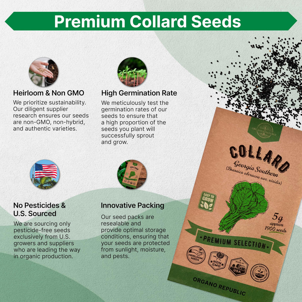 Onion Walla Walla Seeds Pack 1G - Over 275 Non-GMO Heirloom Onion Seeds for Planting Vegetables in Individual Seed Packet, Vegetable Seeds for Planting Home Garden Indoor & Outdoor Gardening