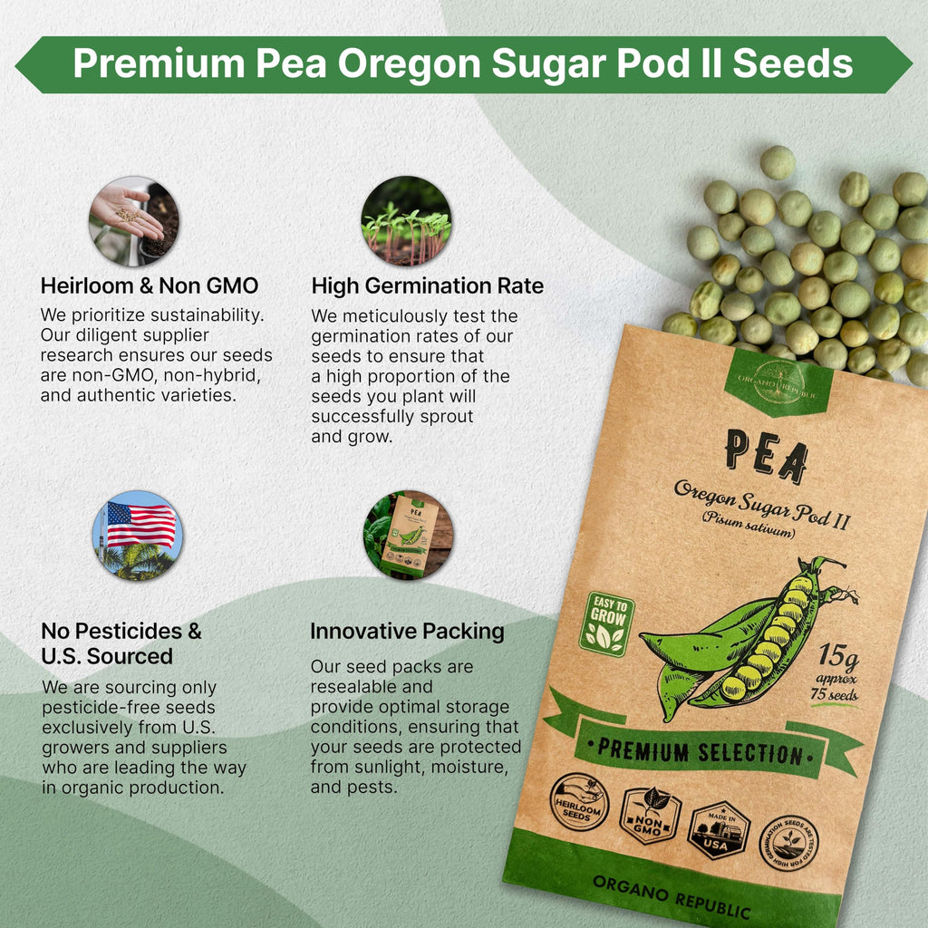 Onion Walla Walla Seeds Pack 1G - Over 275 Non-GMO Heirloom Onion Seeds for Planting Vegetables in Individual Seed Packet, Vegetable Seeds for Planting Home Garden Indoor & Outdoor Gardening