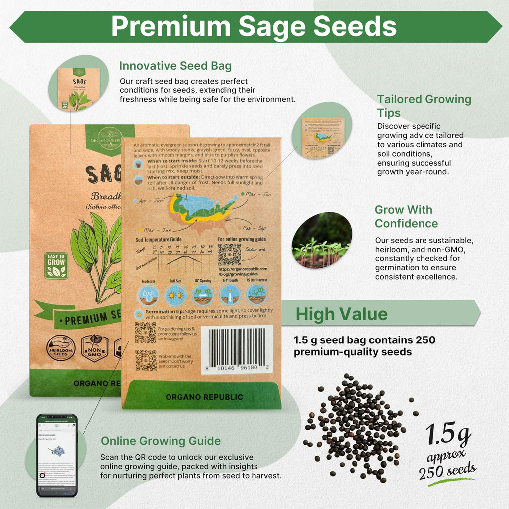 White Yarrow Seeds Pack 0.25 G - Over 2000 Non-GMO Heirloom Yarrow Seeds for Planting Herbs in Individual Seed Packet, Herbs Seeds for Planting Home Garden Indoor & Outdoor Gardening